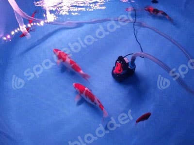 Flexible Collapsible Round Movable KOI Fish Tank 2
