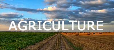 AGRILULTURE