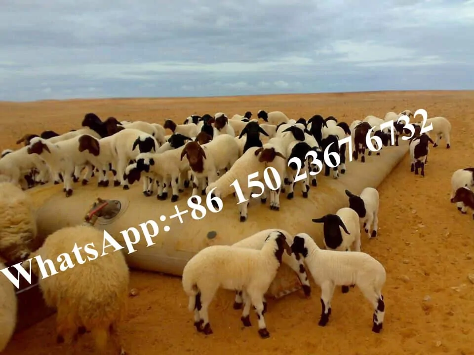 Water Storage Tank for farm use