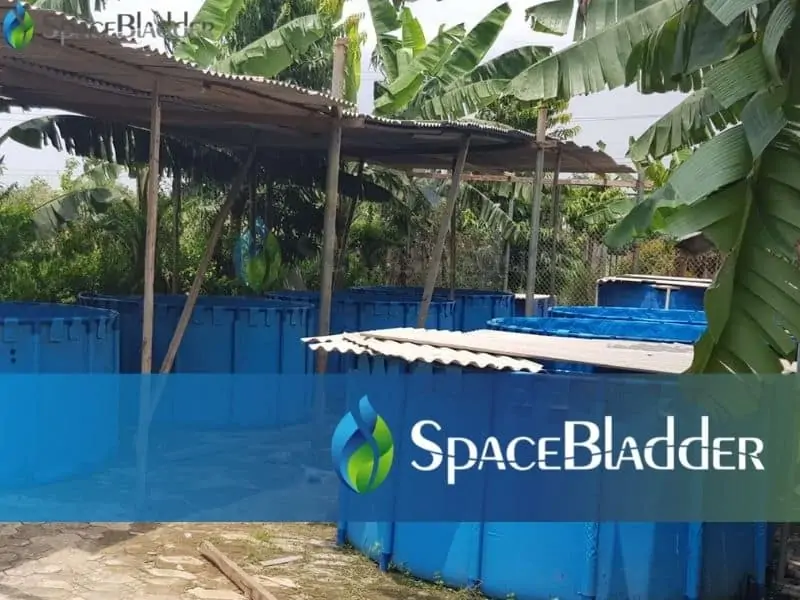 2000l backyard pvc tarpauline fish farming tank custom feedback 3