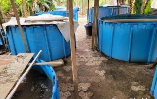 2000l backyard pvc tarpauline fish farming tank custom feedback