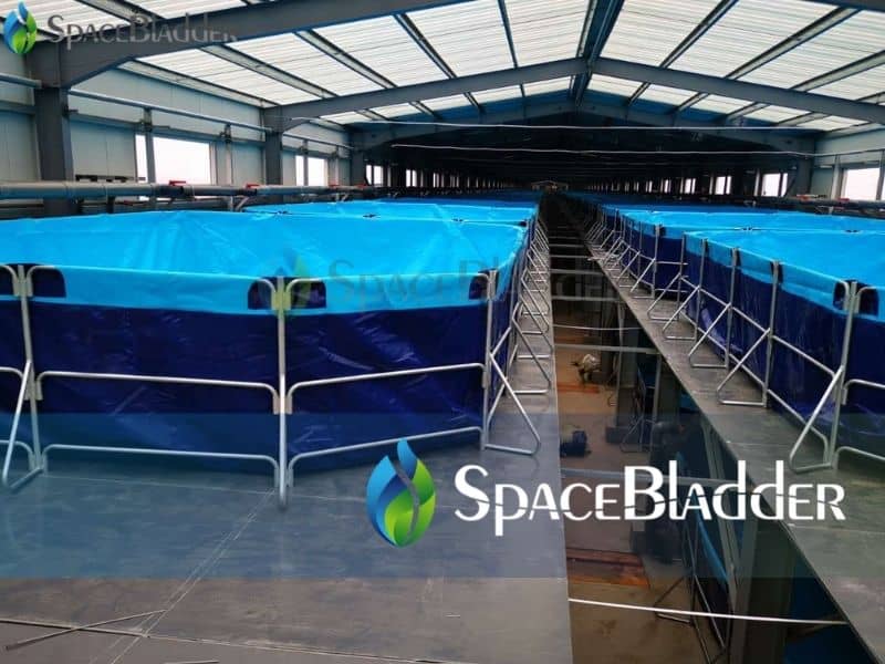 rectangular folding tanks for aquaculture system shrimp tanks 4