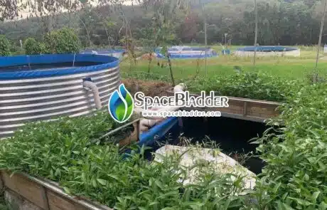 customized fish farming tank from clients feedback