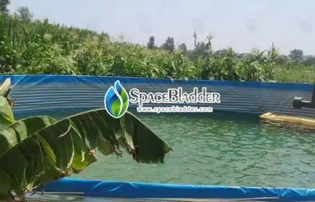 customized fish farming tank from clients feedback